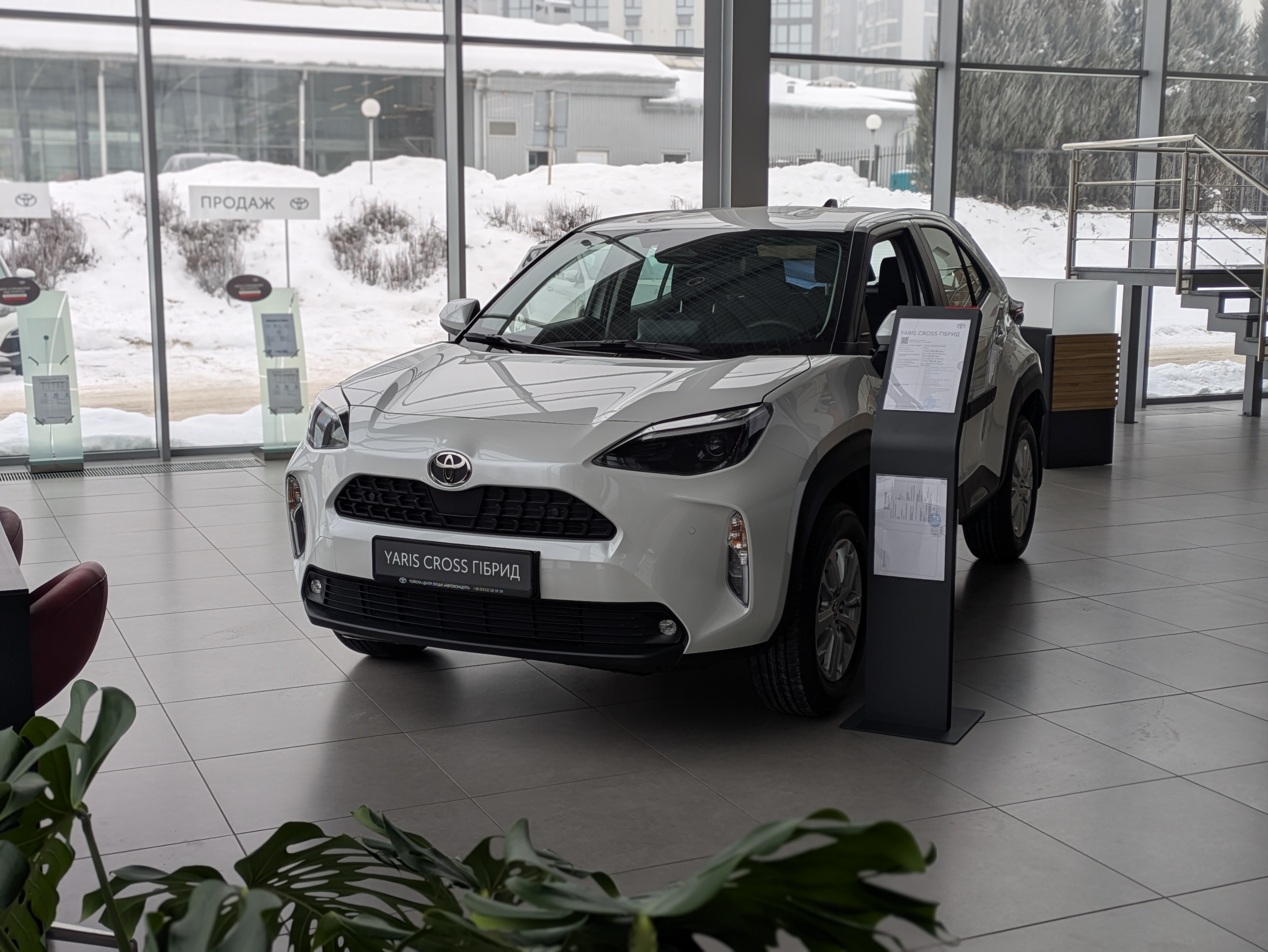 pxl_20260122_082633667_portrait