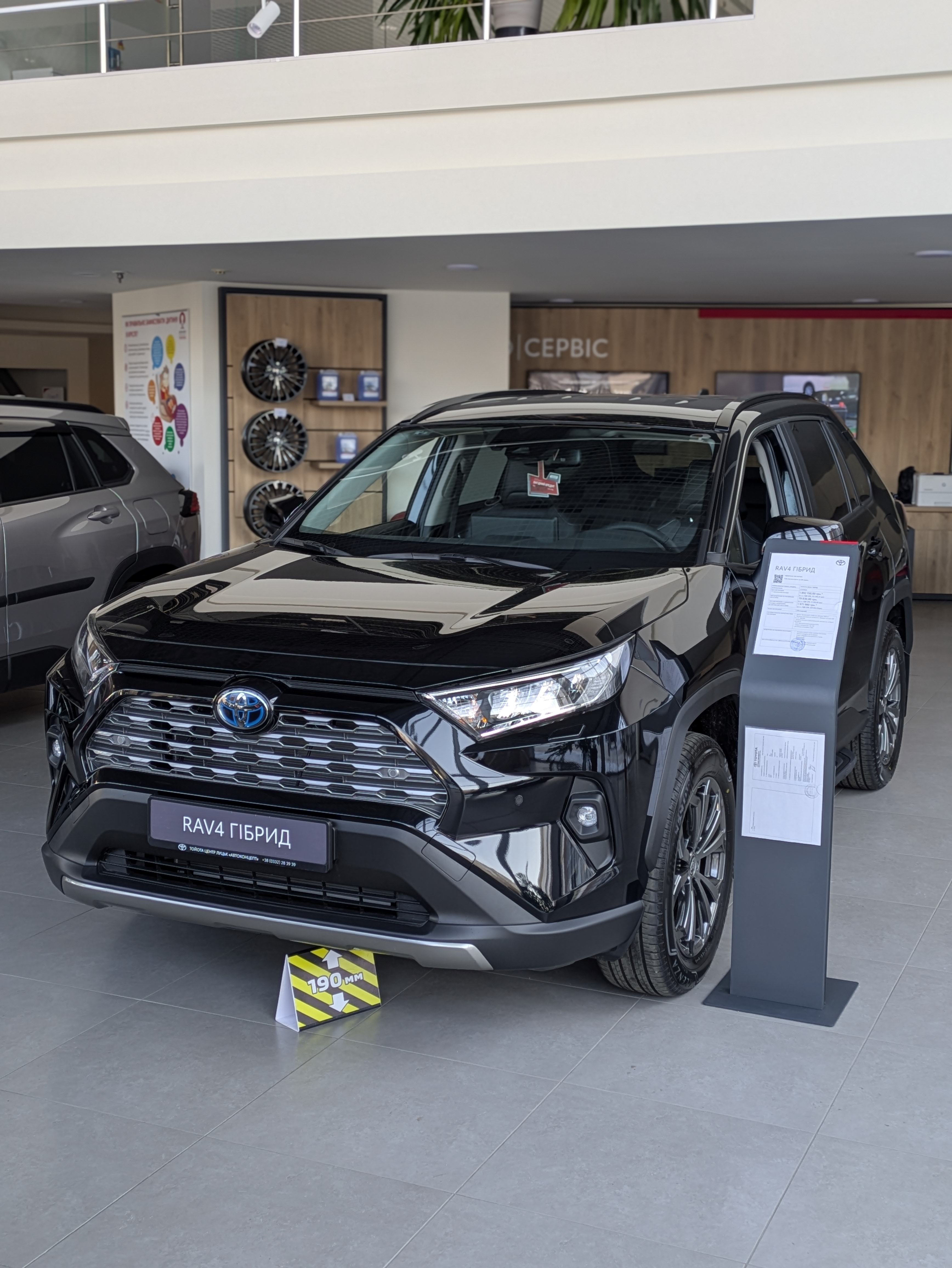 pxl_20260120_100752378_portrait